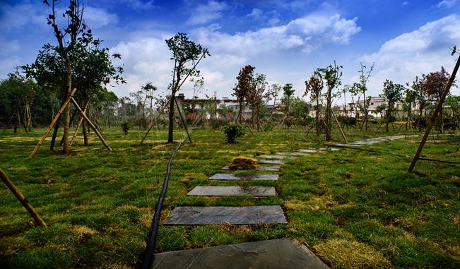 ͼΪʾ����������˫ƺ��2������С���Զ����ܹܵ�