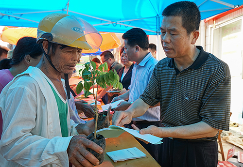 图二:市林业局党组成员、副调研员黎运伟讲解珍贵树种种植技术