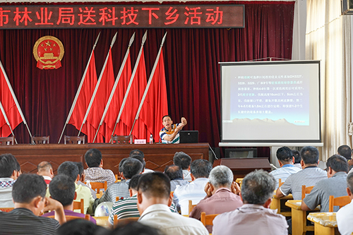 图三:王凌辉教授在授课