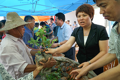 图:陶圩镇镇长覃小涛与市林业局工作人员一起向群众分发珍贵树苗
