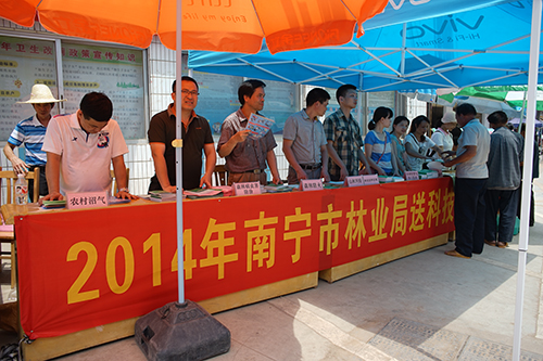 ��ͷ������ѯ��ֳ�